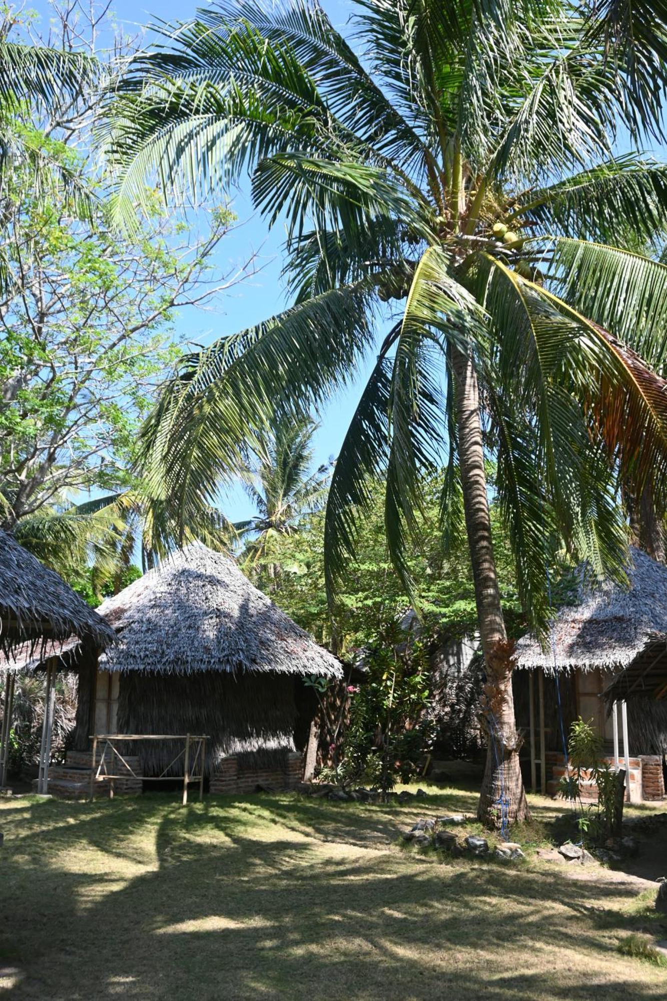 Bunga Jabe Villa Karimunjawa Luaran gambar