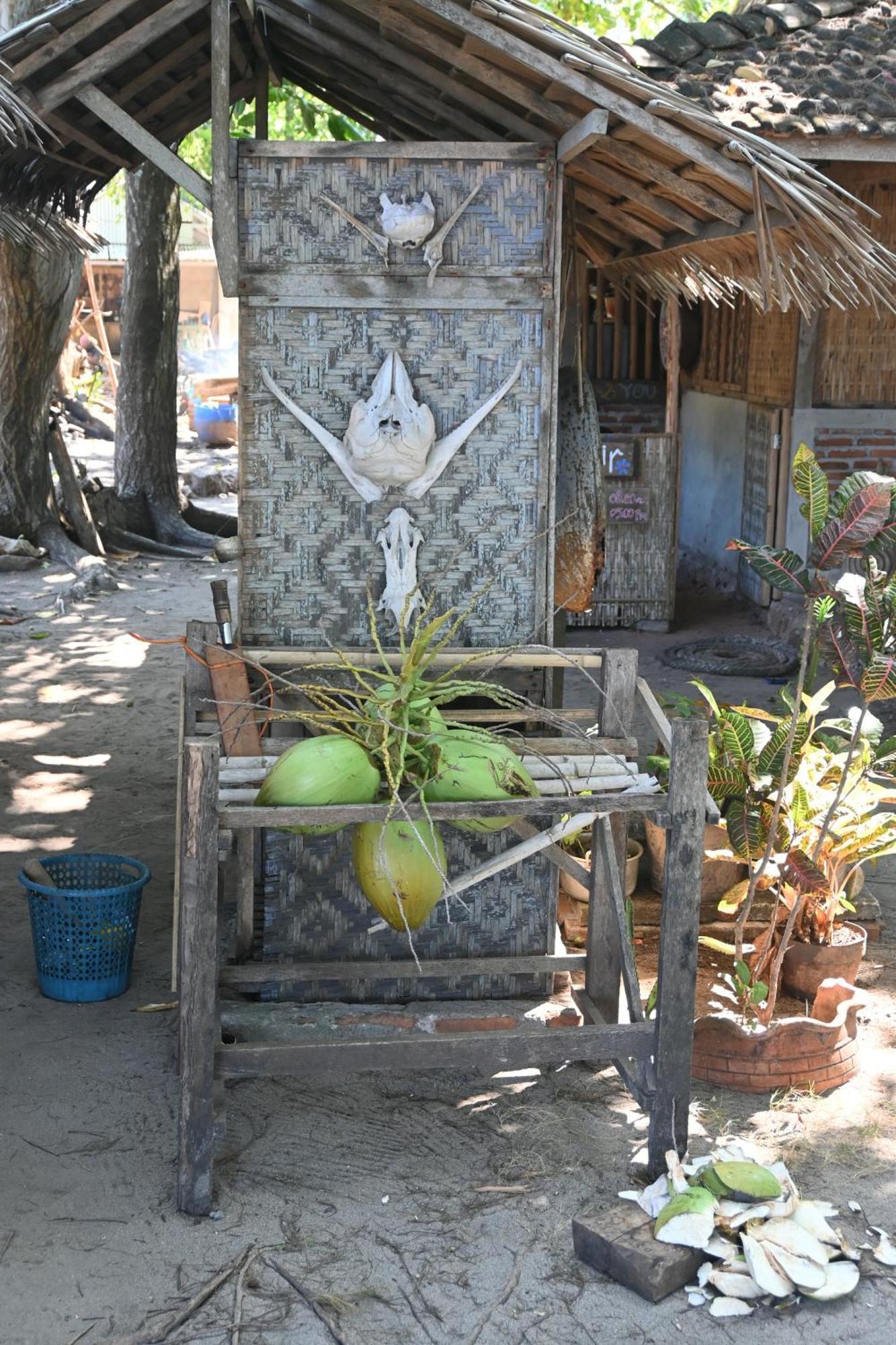 Bunga Jabe Villa Karimunjawa Luaran gambar